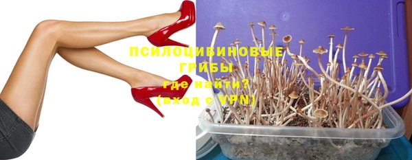 стафф Арсеньев