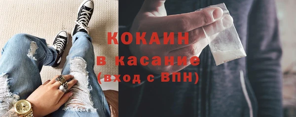 стафф Арсеньев