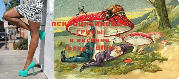 стафф Арсеньев