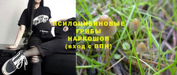 стафф Арсеньев